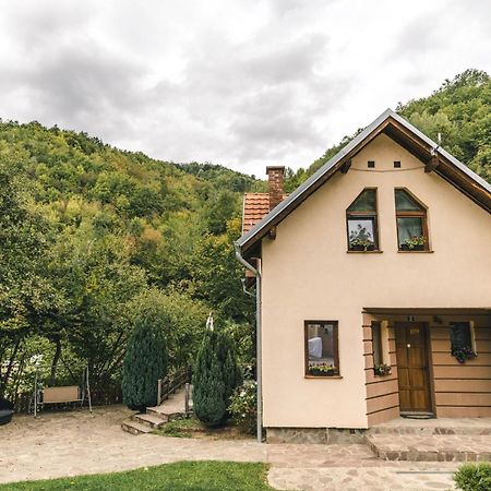 Lodge Zeleni Svet Crni Vrh Bagian luar foto
