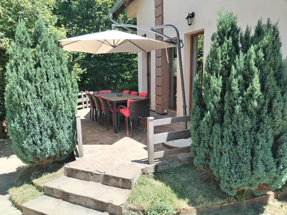 Lodge Zeleni Svet Crni Vrh Bagian luar foto