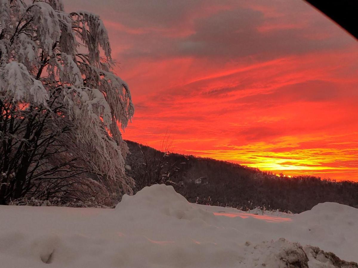 Lodge Zeleni Svet Crni Vrh Bagian luar foto