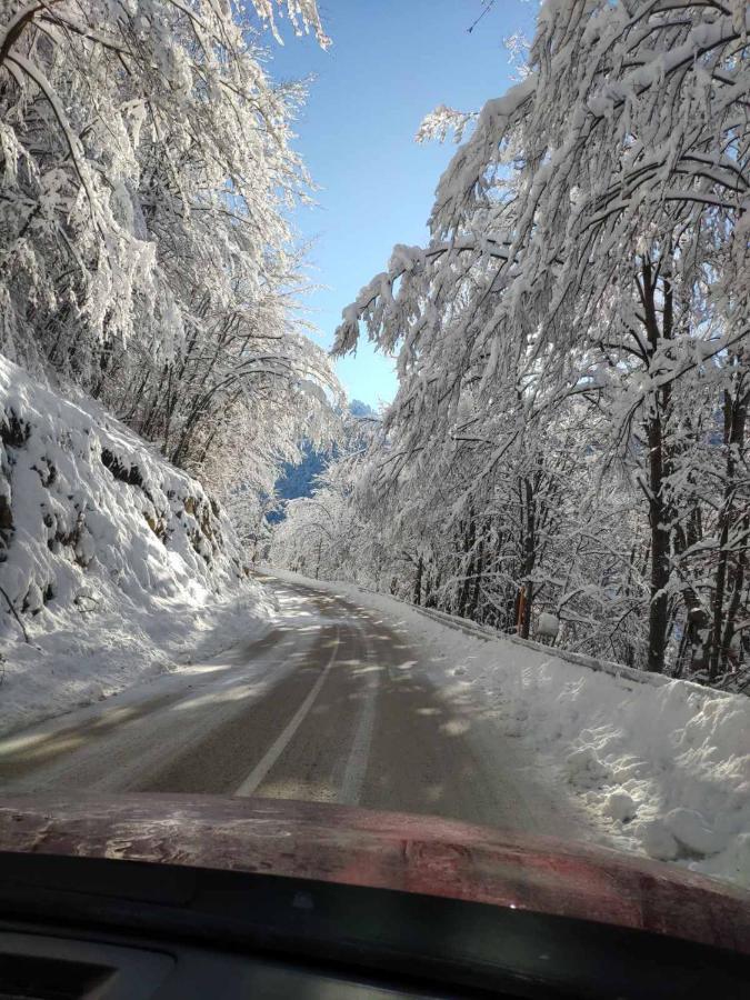 Lodge Zeleni Svet Crni Vrh Bagian luar foto